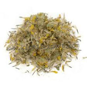 Arnica Montana-hierbas orgánicas naturales, Triple refinado, proveedor indio - Product Image 6