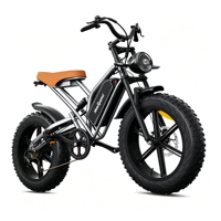 Vélo Électrique Tout-Terrain à Pneus Larges pour Adultes - Prix Entrepôt UE - Vélo Électrique de Montagne à Moteur Électrique - Vélos Électriques Abordables
