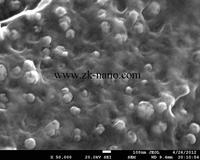 Nano titanato de bario BaTiO3 100nm 99.9% polvo de nano titanato de bario
