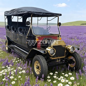 Coche Eléctrico Turístico Negro Vintage con Decoración Dorada para Servicio de Recorridos en Sitios Turísticos - Product Image 4