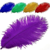 Beste Qualität 45-50cm natürliche große Gefieder flauschige lila Straußen federn Federn für Karneval Feder Flügel Kleid Handwerk