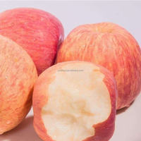 Verse Chinese Gala Appels/Rode Appels/Fuji Appels Graad Eén Shandong Herkomst Koude Opslag 18kg Prijs