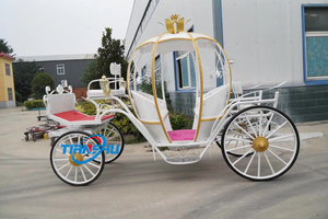 Grandiosa cenerentola carrozza trainata da cavalli regale visite all'aria aperta pratica principessa Buggy - Product Image 6