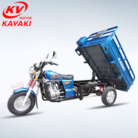 Tricycle motorisé 200cc, véhicule à 3 roues pour le transport de marchandises, alimenté à l'essence, pour Apsonic