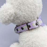 Collier pour chien en polyester tendance avec motif lettres, boucle ardillon détachable, pour promenade estivale