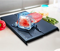 Plateau de décongélation rapide magnifiquement plateau de dégivrage rapide décongeler nourriture viande fruits plaque de dégivrage rapide conseil dégivrage cuisine Gadget outil
