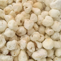 Lichi Liofilizado Saludable FD, Lichi FD al por Mayor, Snacks Liofilizados para Niños
