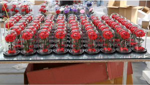 <span class=keywords><strong>Rose</strong></span> <span class=keywords><strong>éternelle</strong></span> sous dôme, disponible dans <span class=keywords><strong>la</strong></span> <span class=keywords><strong>belle</strong></span> <span class=keywords><strong>et</strong></span> <span class=keywords><strong>la</strong></span> bête, fleur romantique, grande tactile - Product Image 5