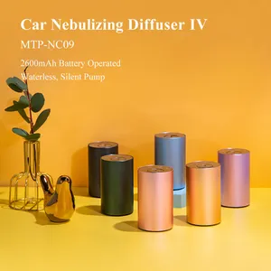 Type-C Custom Air Car Aroma Diffuser Waterless Cordless Electronic Essential Oil Nebulizer Diffuser With Rechargeable Battery