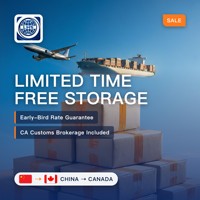 Agente de Dropshipping Económico de China a Estados Unidos, Canadá y Europa, Puerta a Puerta, DDP, DAP, Agente de Envío Aéreo, Logística Rápida y Confiable