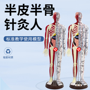 Modelo de puntos de acupuntura humanos, zona de reflejos, masaje de meridianos, acupuntura ultraclara para hombres y mujeres, anatomía de mitad piel y mitad hueso. - Product Image 1