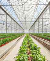Moderne geautomatiseerde irrigatie multi-span foliekas geschikt voor de teelt van bloemen, fruit en groenten