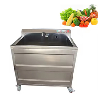 Automatische enkel- en dubbelcilinder ultrasoon bubbelreiniger voor fruitpuree, bladgroenten en reinigingsmachine