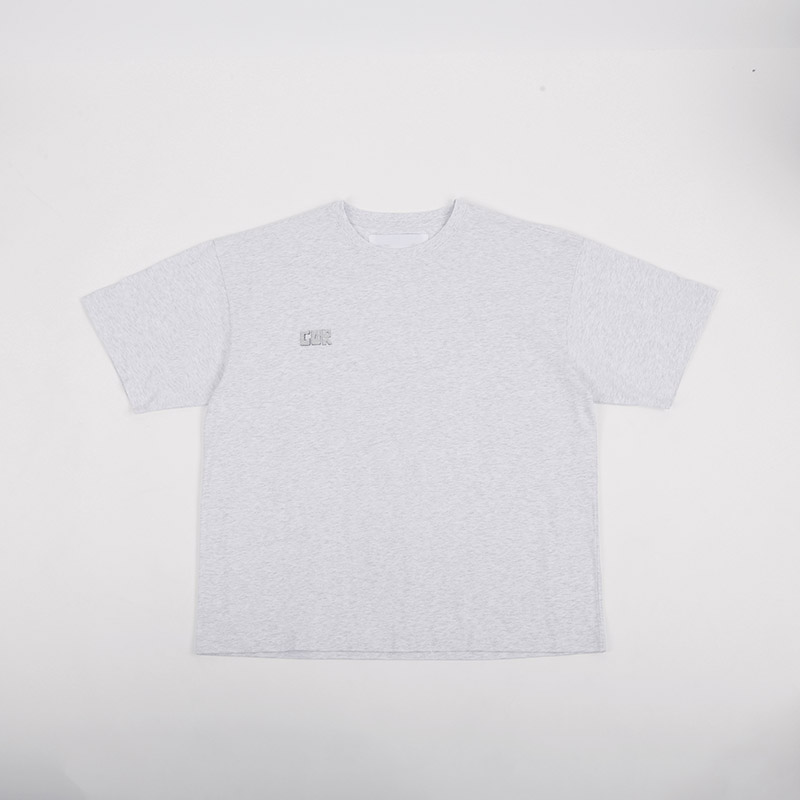R239-V2