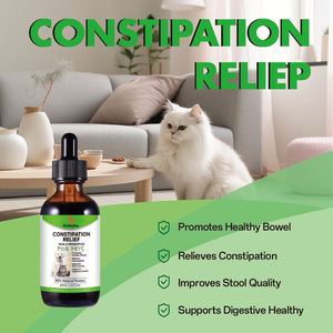 Produsen ODM suplemen nutrisi hewan peliharaan anjing mencret pembelian terhadap peraturan perut perawatan kesehatan - Product Image 6