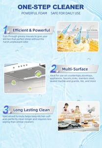 Detergente <span class=keywords><strong>per</strong></span> cucina concentrato sgrassante e detergente <span class=keywords><strong>per</strong></span> schiuma <span class=keywords><strong>per</strong></span> telaio <span class=keywords><strong>per</strong></span> <span class=keywords><strong>barbecue</strong></span> <span class=keywords><strong>sgrassatore</strong></span> <span class=keywords><strong>per</strong></span> <span class=keywords><strong>griglia</strong></span> del forno - Product Image 6