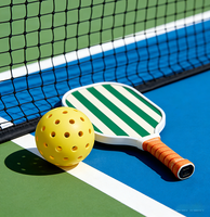 Raquette de pickleball professionnelle de compétition, ultra-légère, en fibre de carbone, sans bordure, nid d'abeille, personnalisée, portable, écologique
