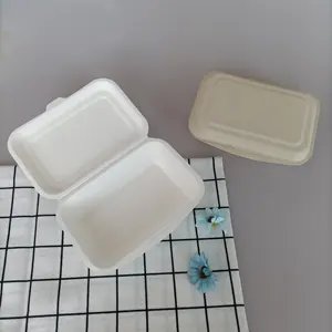 biodegradable food container made in China