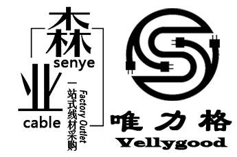 Guangzhou Senye Network Technology Co., Ltd. logo