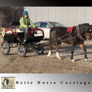 2024 New Marathon Horse Training carrier sella equestre in vendita magazzino stock - Product Image 4