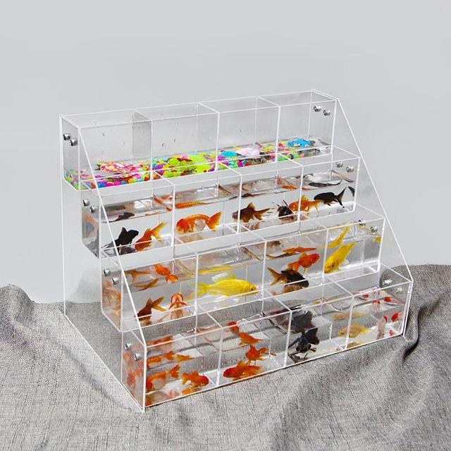 Wholesale Transparent Acrylic Rectangle-Shaped Creative Betta Fish Tank Display Rack Multi-Grid Office Desk Mini Accessory