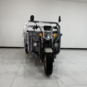 มอเตอร์ LEON 1200W รับน้ำหนักได้ 600 กก. รถบรรทุกไฟฟ้าสำหรับขนส่งสินค้า ผลิตในจีน - Product Image 4