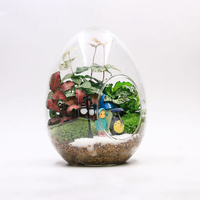 56H Kreative EGG-förmige Glasflasche DIY Aquascape Home Decoration Boro silikat Terrarium Moos Pflanzer Flasche Blumenvase