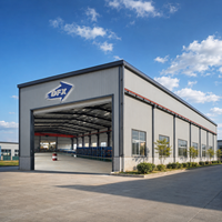 Fabricant d'entrepôts à structure métallique, entrepôt préfabriqué en acier à haut plafond pour la logistique, le stockage et la manutention de palettes