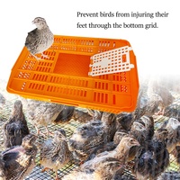 Cages de Transport Empilables en Plastique Renforcé pour Volaille, Cailles et Poussins, Paniers de Transfert pour Poulets