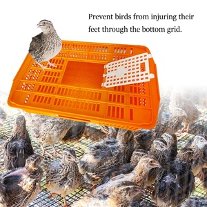 Qa Nhựa Dày Stackable Gia Cầm Tàu Sân Bay Chim Cút Chick Chuyển Giỏ Hộp Gà Giao Hàng Thùng - Product Image 3