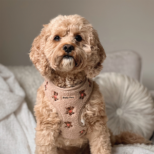 Conjunto de Collar y Correa para Perro de Lana con Bordado de Oso Adorable, Arnés Suave de Alta Calidad para Perro con Dispensador de Bolsas para Excrementos y Lazo - Product Image 3