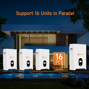 Batterie au lithium Powerwall 15 kWh 51,2 V, 48 V 200 Ah, 48 V 280 Ah, 300 Ah, 314 Ah – Système de stockage d'énergie domestique – Prix - Product Image 3