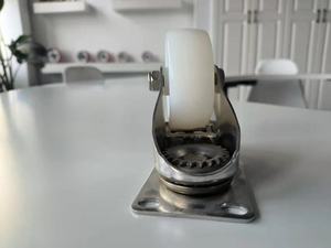 Roues en <span class=keywords><strong>nylon</strong></span> de qualité supérieure, prix d'usine, avec roulement à billes, diamètre de 51 à 200 mm, capacité de charge de 60 à 900 kg - Product Image 5