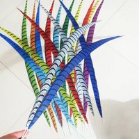 Disfraces de Carnaval Disfraces de samba Pluma de faisán de cebra artificial sintética