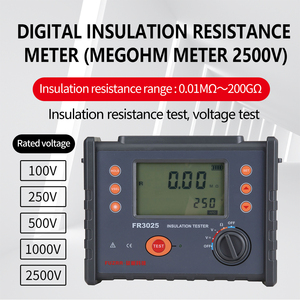 FR3025E Mesureur de résistance d'isolement numérique Testeur d'ohms Mégohmmètre 5000V avec affichage numérique - Product Image 2