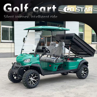 Carrito de Golf de 2 Pasajeros Equipado con Batería de Plomo-Ácido, Plataforma de Carga Grande, Vehículo de Doble Uso para Pasajeros y Carga, Ideal para Villas y Parques