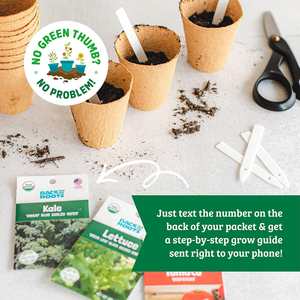 Oranic Herb & Veggie Lot de 20 légumes pour pots de fleurs et jardinières - Product Image 4