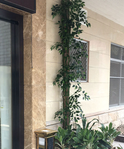 Pannello murale 3D in corteccia di sughero che combina <span class=keywords><strong>muschio</strong></span> <span class=keywords><strong>artificiale</strong></span> e corteccia naturale per la decorazione della parete di piante verdi finte - Product Image 6