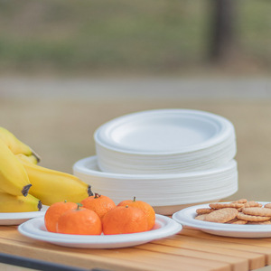 แม่พิมพ์เยื่อกระดาษชานอ้อยแผ่นย่อยสลายได้ทางชีวภาพแผ่นทิ้งจํานวนมาก - Product Image 2