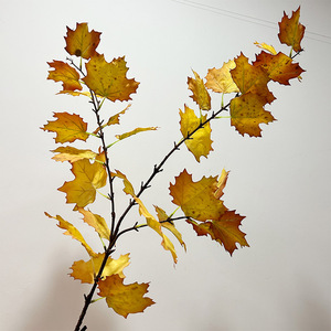 Feuilles d'érable d'automne de qualité supérieure plantes artificielles bricolage mariage décoratif - Product Image 5