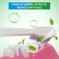 Dentifrice à base de plantes Offre Spéciale Oral Care personnalisable pour la maison et les voyages avec saveur de thé vert