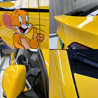 Film de protection de peinture (PPF) auto-cicatrisant en TPU, couleur caméléon changeante, protection UV à 90 %, 7,5 mil, personnalisé OEM