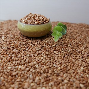 Graines <span class=keywords><strong>de</strong></span> <span class=keywords><strong>sarrasin</strong></span> chinoises sucrées brutes WENSHA <span class=keywords><strong>SARRASIN</strong></span> - Product Image 6
