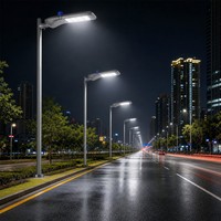 Lámpara Solar LED para Exteriores, Resistente al Agua, Precio de Fábrica, 100w 150w 200w 250w 300w