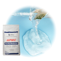 Venta caliente Mortero Masilla Revestimiento en polvo y cerámica Espesante Hidroxipropil Metil Celulosa Polvo Hpmc Polvo