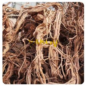 Bonsai wood <strong>aquarium</strong> <strong>aquarium</strong> nature driftwood twist <strong>roots</strong> Sinoy <strong>aquarium</strong> <strong>decoration&fish</strong> tank decoration - Product Image 2