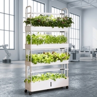 Système d'irrigation hydroponique vertical intelligent pour la maison Tru-spring à 4 niveaux, système d'irrigation aéroponique, TSP 210, lampes de culture LED automatiques