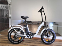 QUEENE/DOT Vélo électrique adulte/vélo électrique/cyclomoteur avec pédale Prix ​​bas