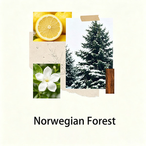 Difusor de Aroma de Lengüeta de Paja Noruega con MOQ Bajo, Logotipo Personalizado, Venta al por Mayor, Fragancia Ecológica de Lujo para el Hogar, Dormitorio <span class=keywords><strong>y</strong></span> Hotel - Product Image 3