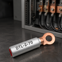 سلسلة DTL-2 من أطراف توصيل الكابلات النحاسية والألومنيوم DTL-2-16 DTL-2-25 DTL-2-35 DTL-2-50 DTL-2-70 DTL-2-95 ذات الرأس المستدير للتوصيلات الكهربائية